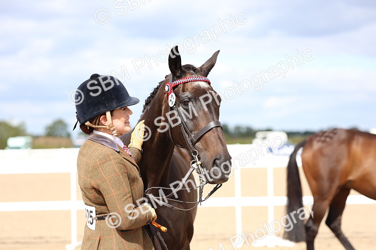 SBM_15283 - Class 313 - IH Retired Racehorse