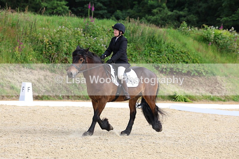 3E7A1397 - Class 2: Intro 2 2024 Section B