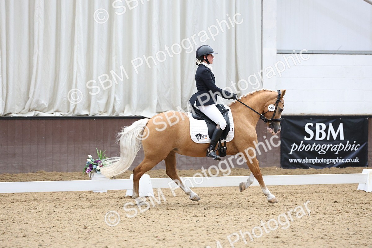 SBM_007548 - Class 23 - Medium FSM Bronze