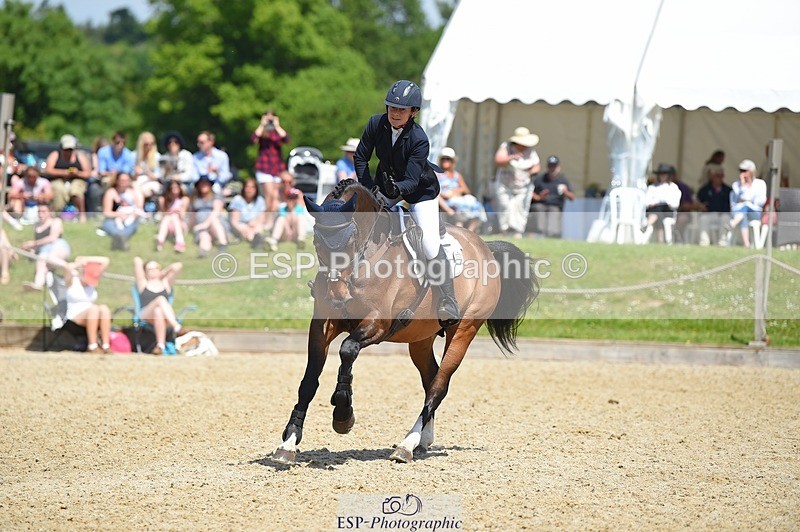 230528-115236-15423 - 369-GIDO_G-Sally_Chamberlain-SUNTrotUp+SJ