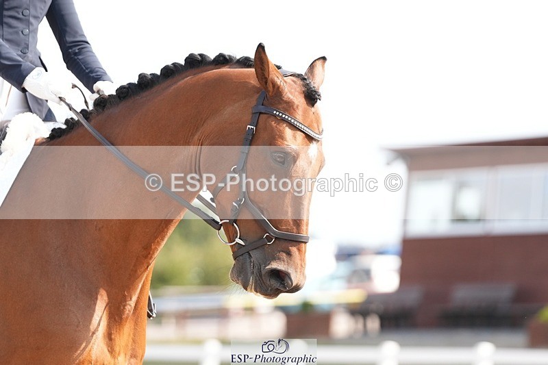 250817-105122-08413 - 128-Eleanor.RobinsonSky.Point