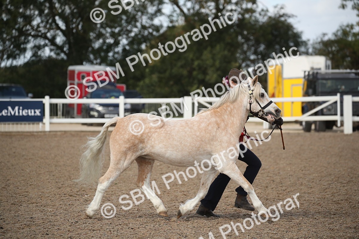 SBM_23494 - Class 604 - 2026 - Area IH Diamond