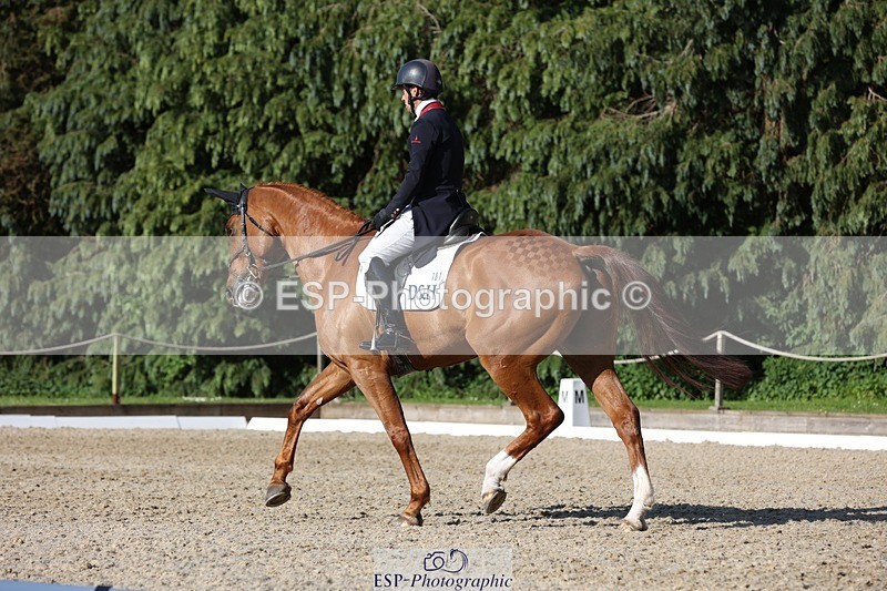 230526-174643-08031 - 181-AMIRO_ISLAND-Harry_Meade-WEDTrotUp+DR