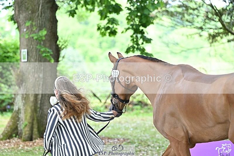 250521A-152929-00541 - B-321-Laura.Collett-BALANCERO