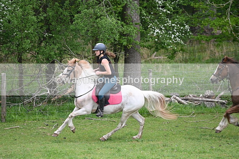WJ6_3370 - A camera