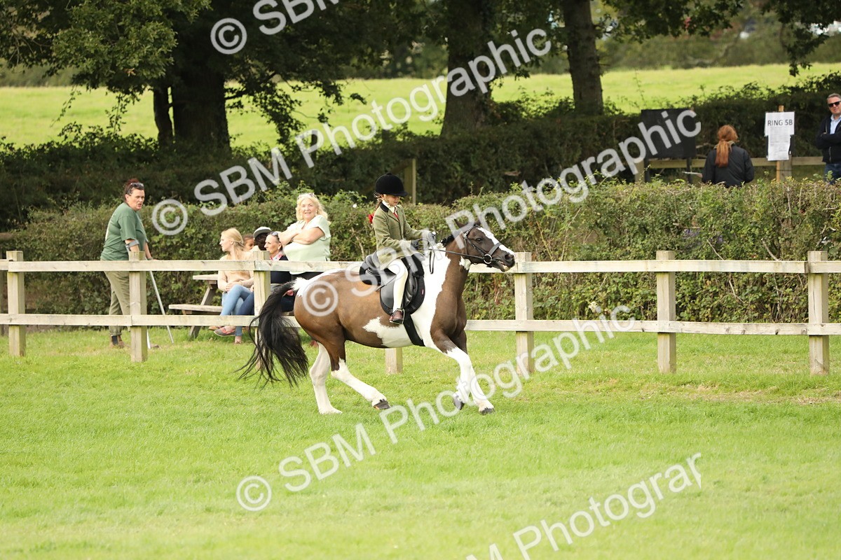 SBM_71572 - S41 - Ridden Equitation (Best Rider)