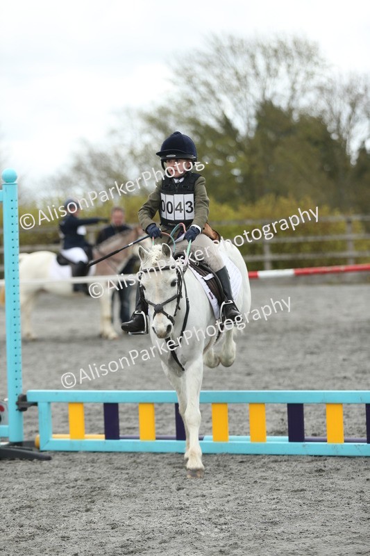 20260412-0663 - Show Jumping