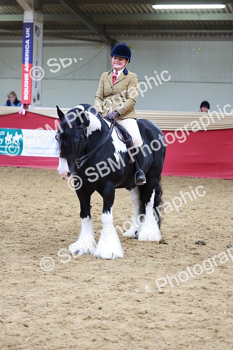 SBM_06304 - Class 12R - Ridden Pre-Vet