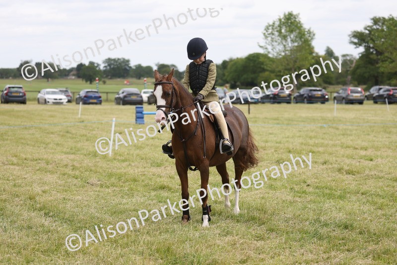 20260614-3030 - Class 22 - Open Working Hunter