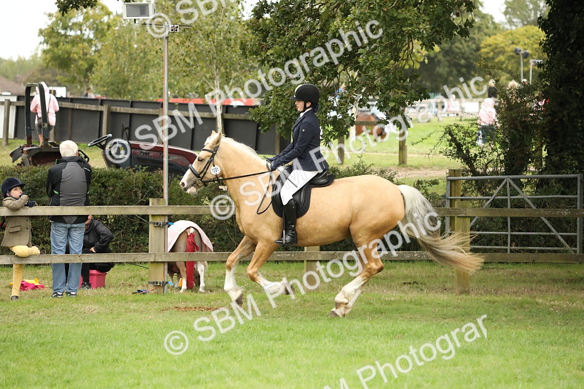 SBM_73711 - S41 - Ridden Equitation (Best Rider)