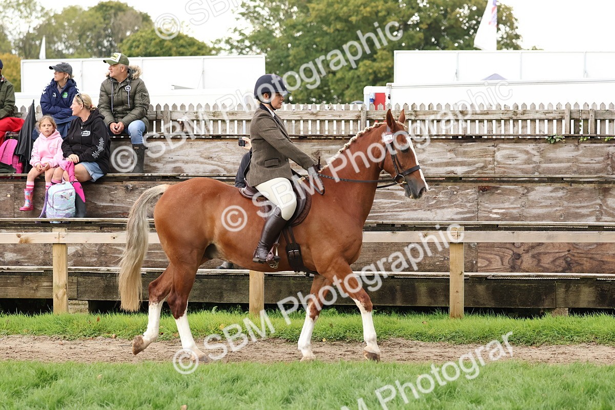SBM_44937 - S27 - Young Veteran Ridden