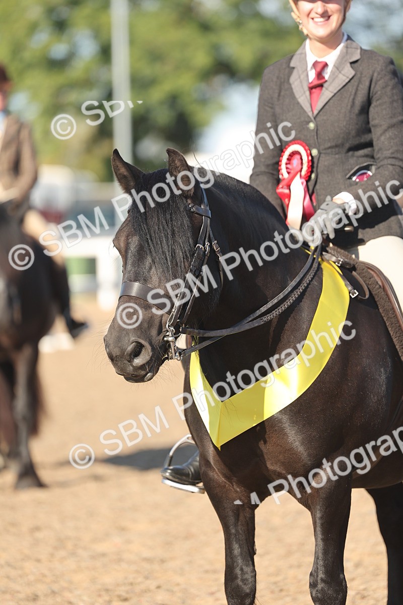 SBM_11114 - Class 302 - Ridden M&M Large Breeds