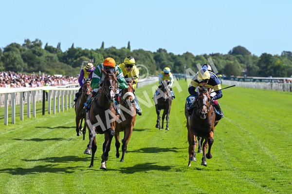 120725-Race 5-Amazing Journey-5900 - Race 5 4.15pm John Smith's Nursery Handicap