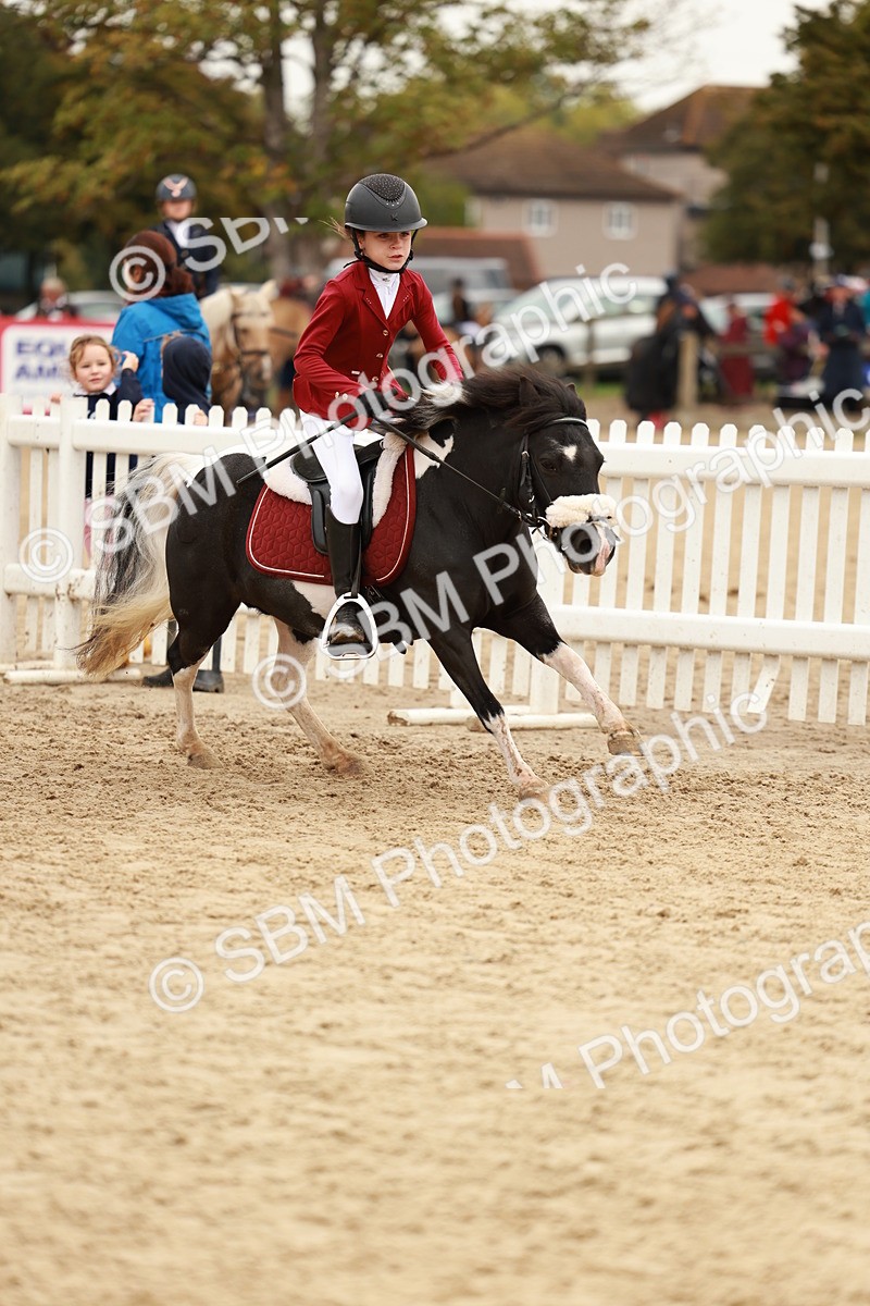 SBM_57935 - J11 - Junior Pony 50cm Championship