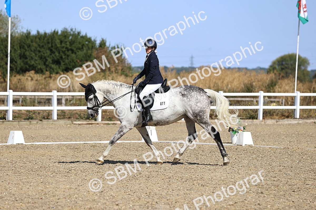 SBM_013128 - Class 2 - P5 Silver  10.03.10.59