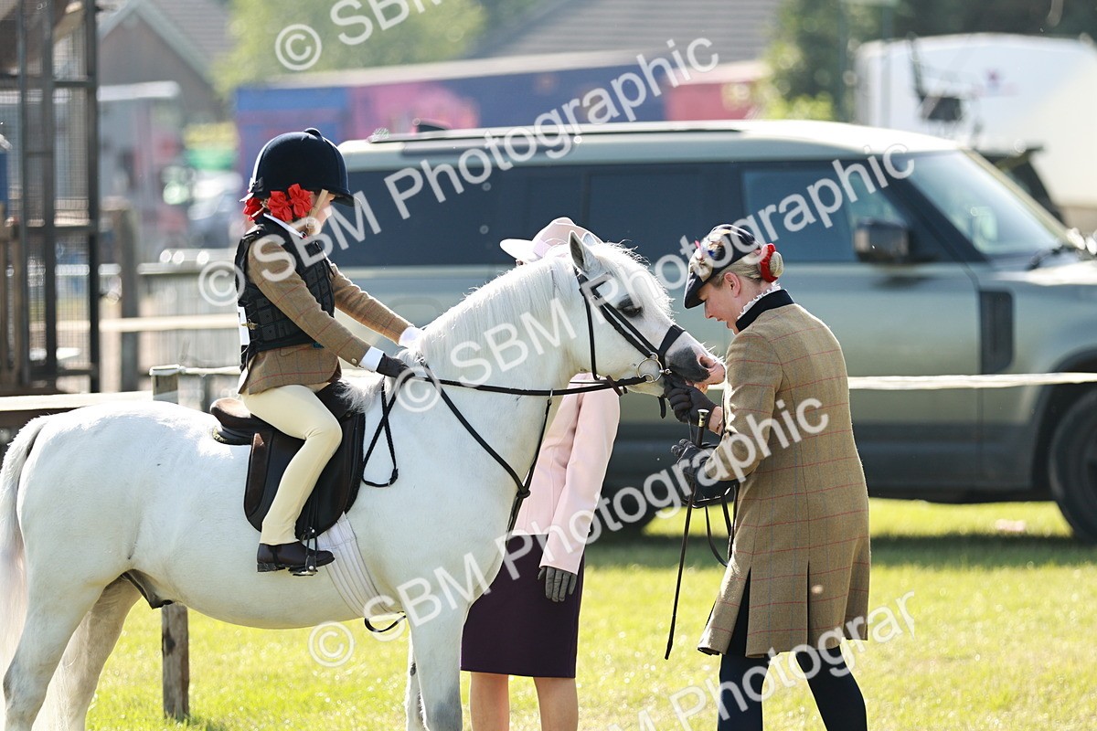 SBM_11292 - Class 106-107 - BSPS LIHS Working Sports Pony