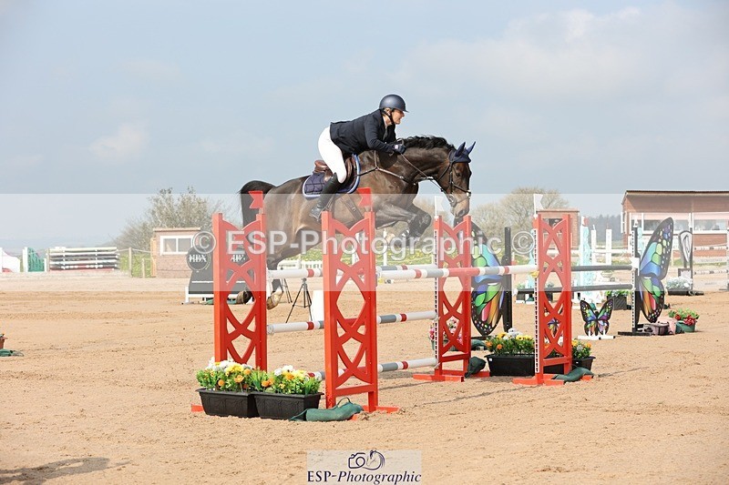 250424-102810-03028 - Cls 33 Young Horse 7yr old