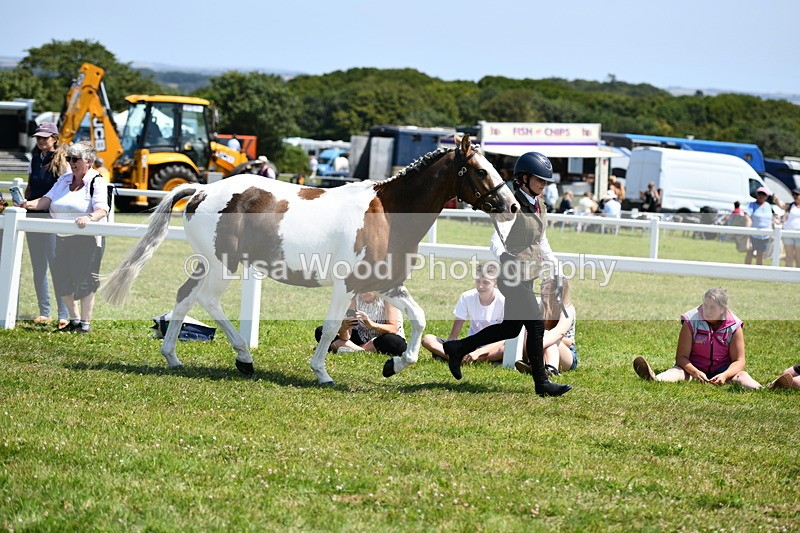 DSC_7635 - Class 64: Coloured Pony 4yrs & over