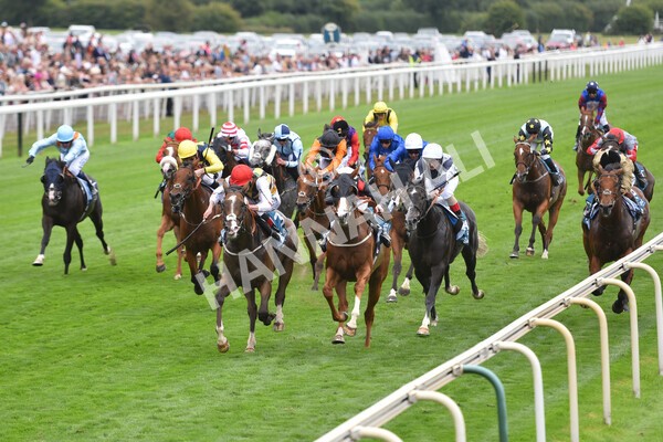 yr18082022r3-32 - Race 3 3.00pm Clipper Logistics Stakes