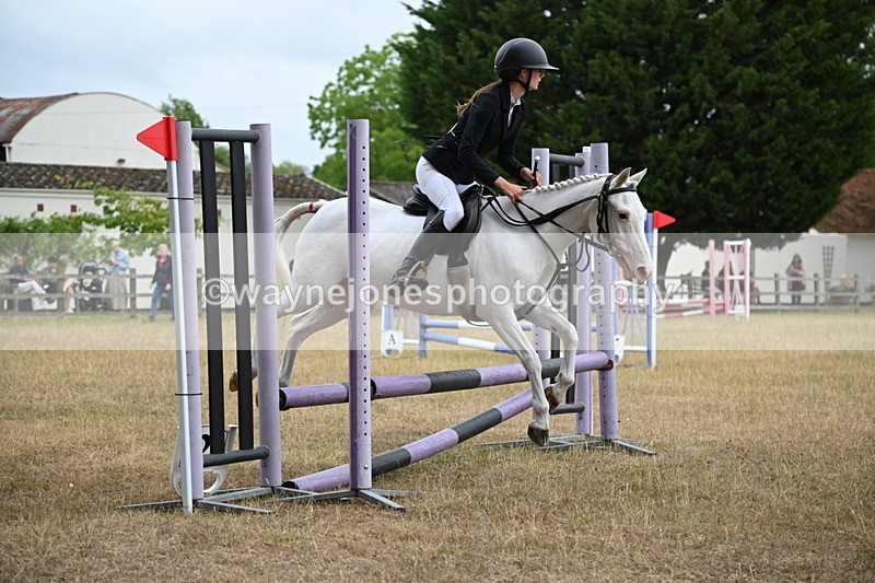 WJ6_0246 - Class 13 Novice Jumping 60cm