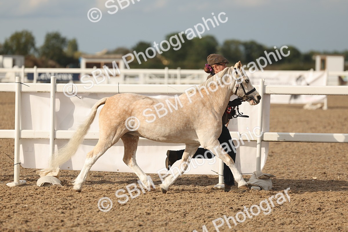 SBM_08605 - Class 29 - IH Veteran Pony