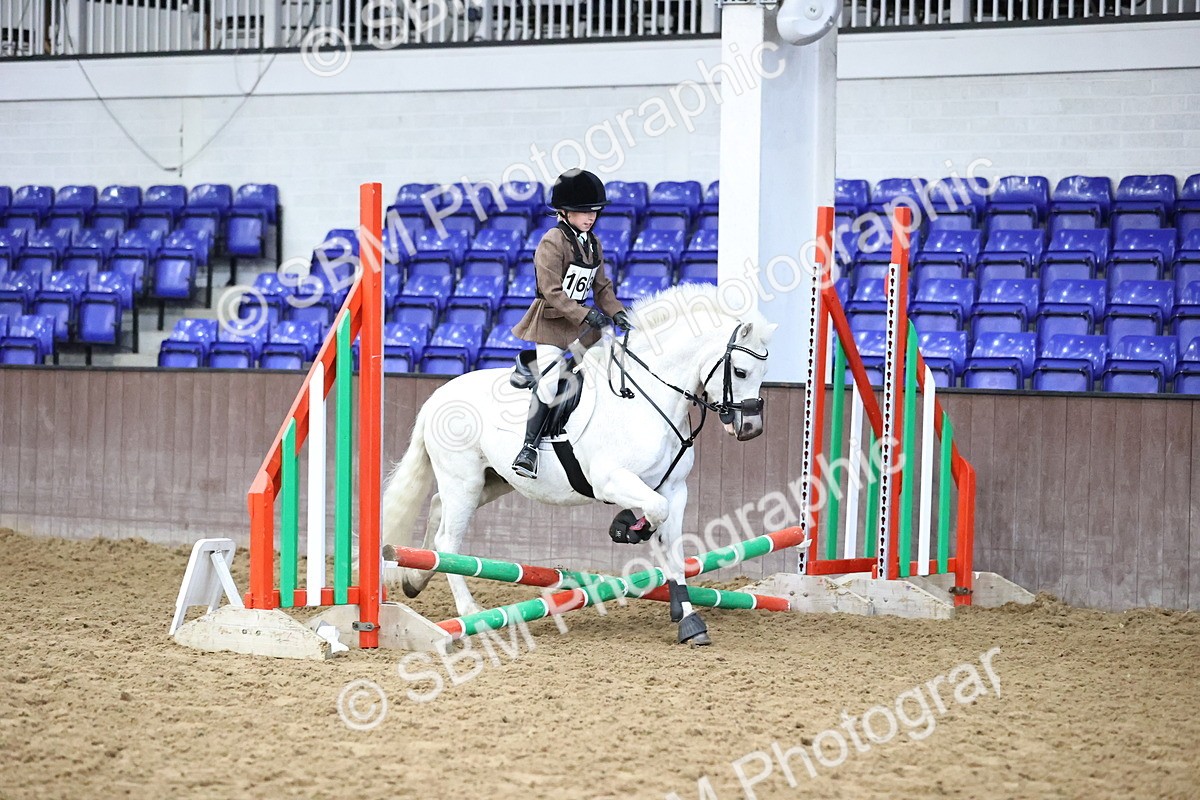 SBM_000275 - Class 2 - The Rug Lady 40cm Area 12 Championship Qualifier