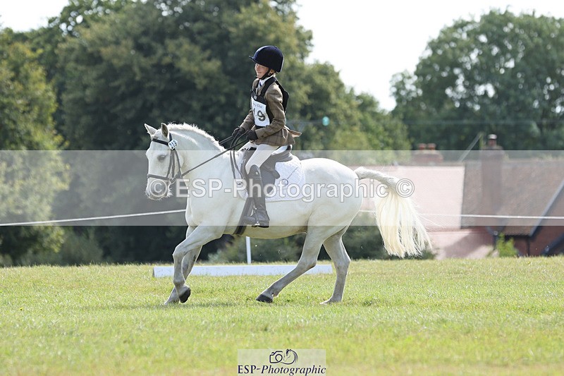 240824X-115954-27014 - D80 Section G and H 11.00 to 12.00