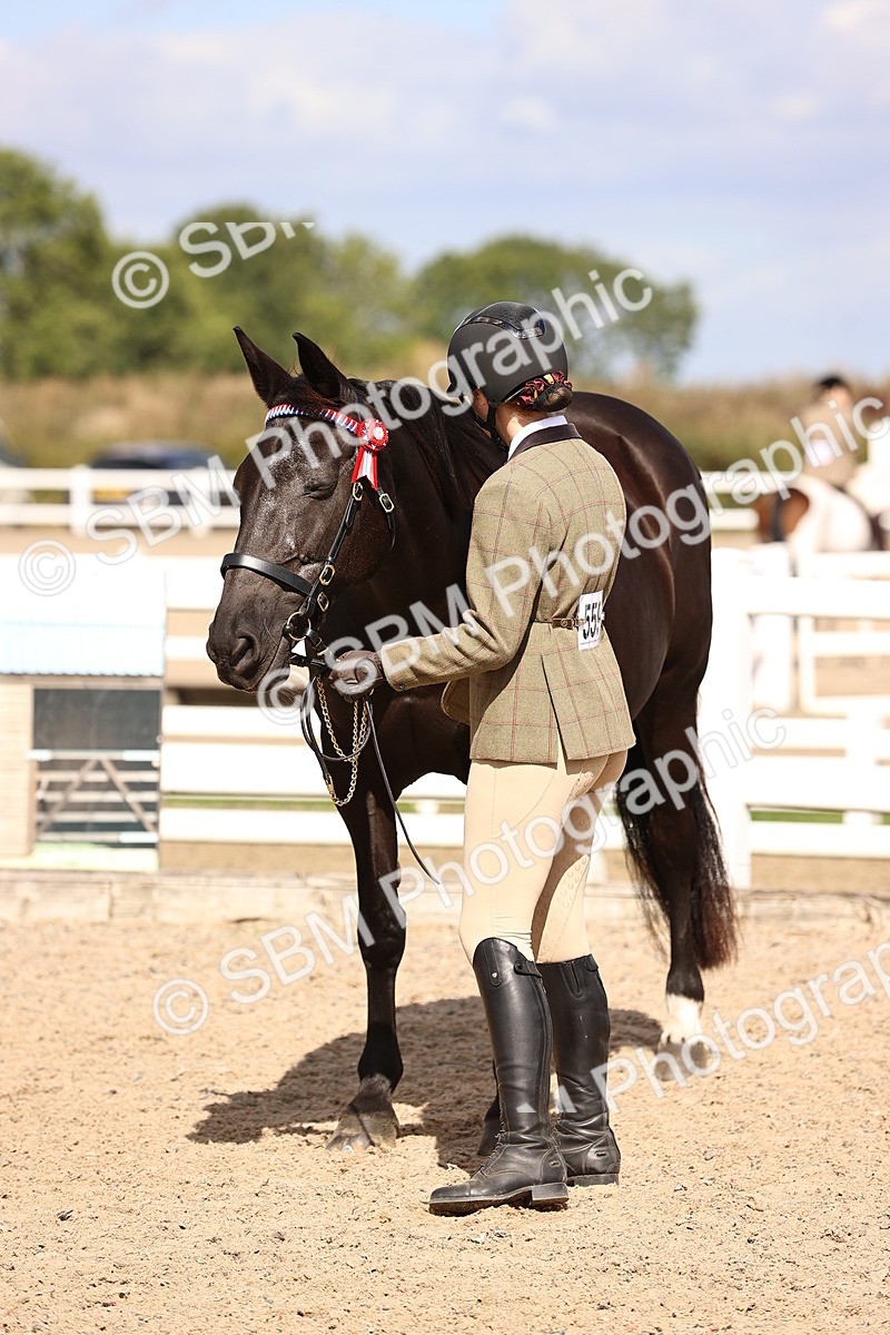SBM_14302 - Class 411 - Prettiest Mare (IH OR Ridden) Adult