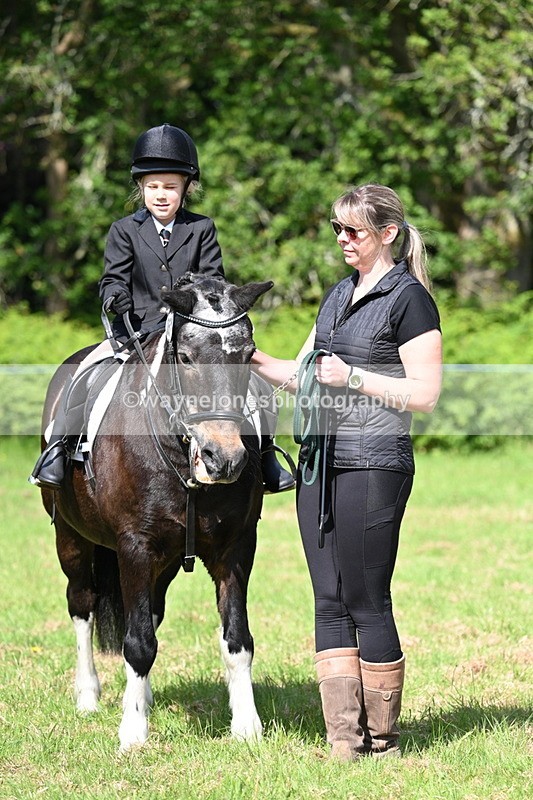 WJ7_0811 - Class 8 First Rally Pony