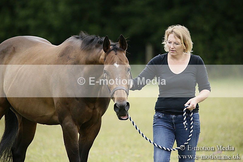 BVR160717-6 - Caught on Camera 16/07/17