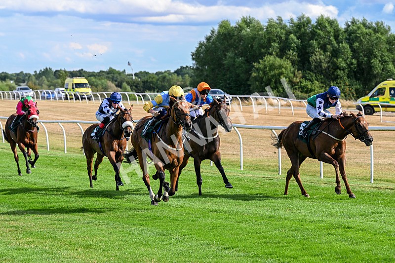 040826-Race 6-Without Flaw-5646 - Race 6 16.45pm Racing Again 17th August Handicap