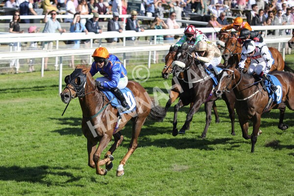 yr12062021r7-27 - Race 7 5.25pm Sky Bet Stakes