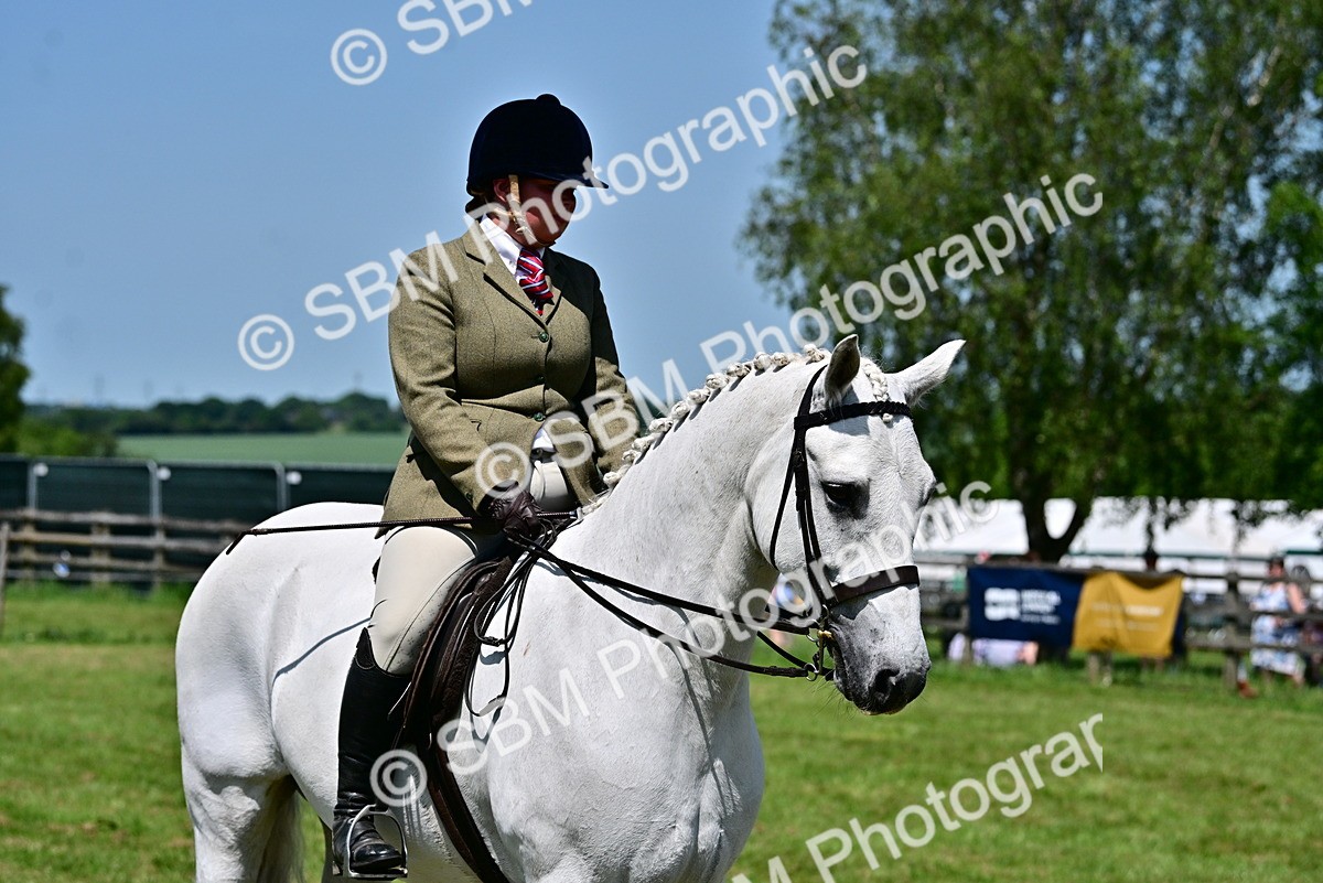 SBM_17481 - Class 95-97 - BSPS LHS Performance Ponies