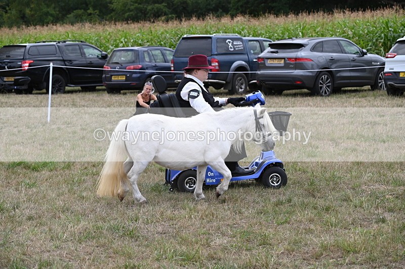 WJ6_6046 - Class 19 In-hand Veterans (Uploaded correct folder)