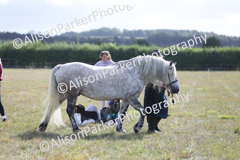 20250831-1495 - Class 21 - Inhand Open