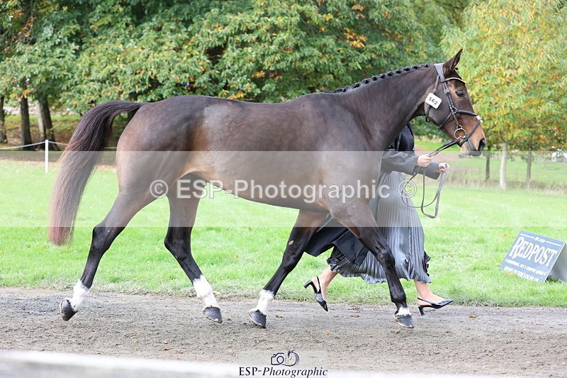 251026A-121158-25944 - G-562-Phoebe.Lagor