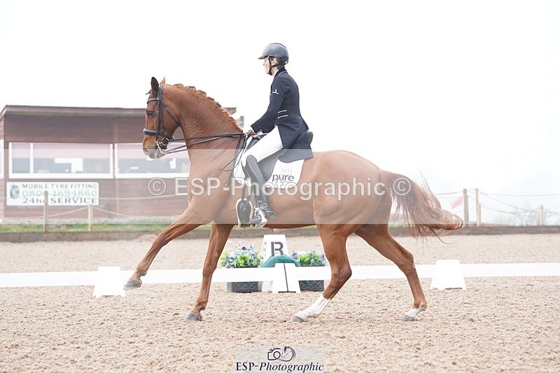 250404-095342-04148 - 009-Sarah.Stewart-Djoe.Dimaggio