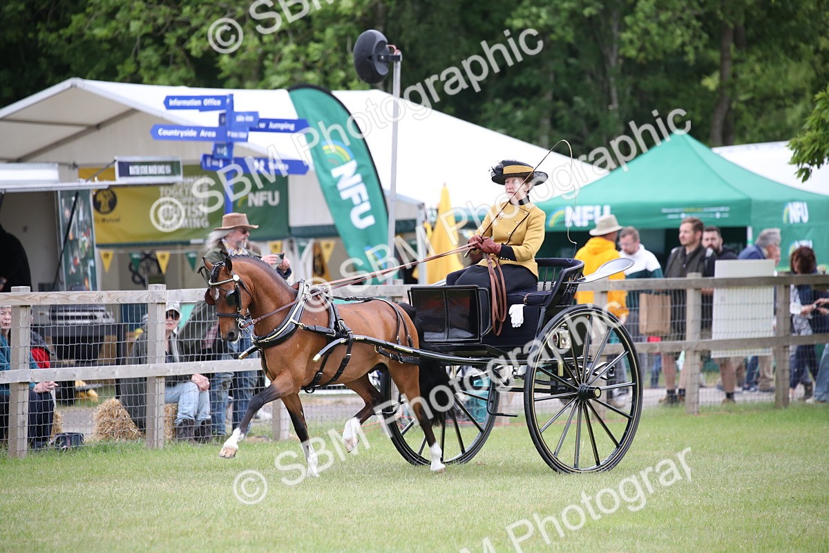 SBM_05850 - Class 12-15 - HOYS Private Driving