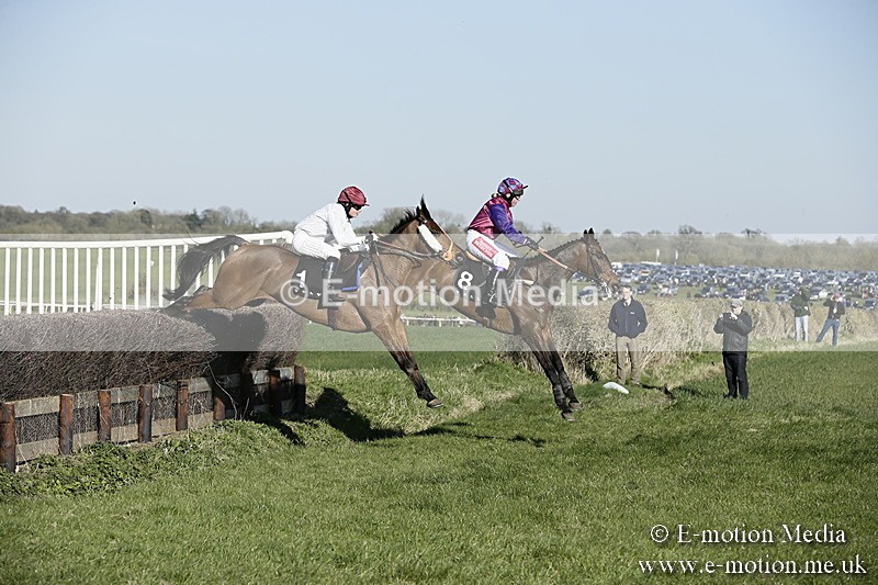 PtP 250317 391 - V.W.H. Hunt Point-to-Point Siddington 25/03/17