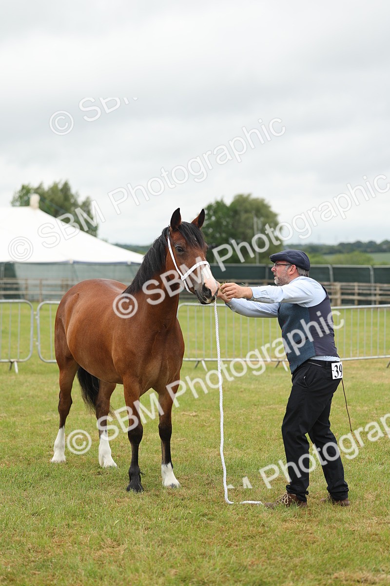 SBM_04833 - Class 50-57 - M&M Welsh Pony In Hand