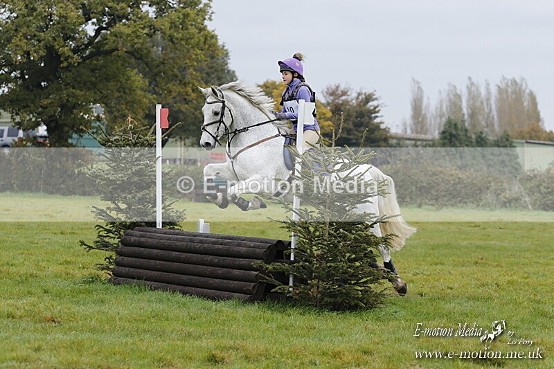 WWHT 181020 WWHT 181020 417 - WWEC Open Novice (0.80m) 18/10/20