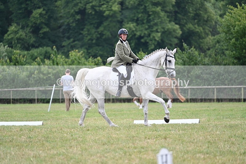 WJ7_5084 - Time 11:22 to 11:51