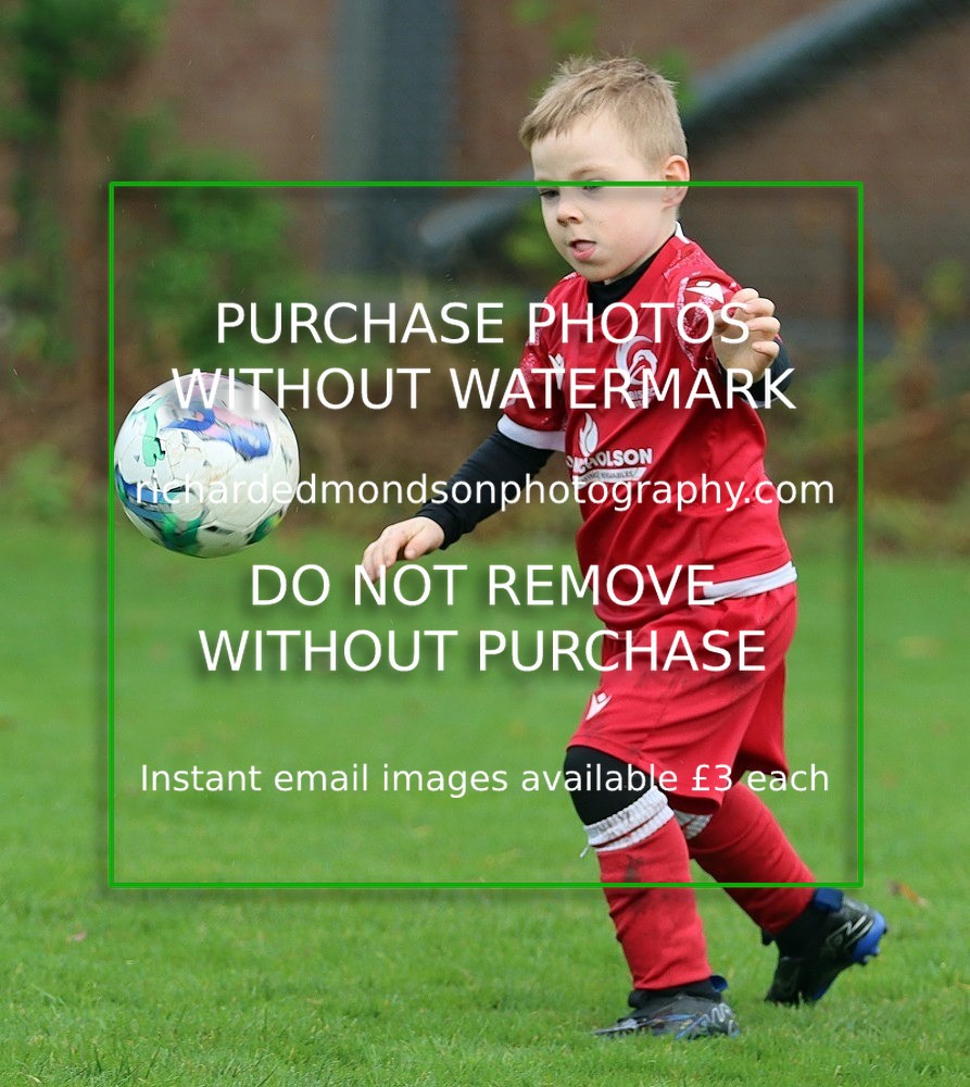 IMG_7099 - Ibis Under 8's (19/10/24)