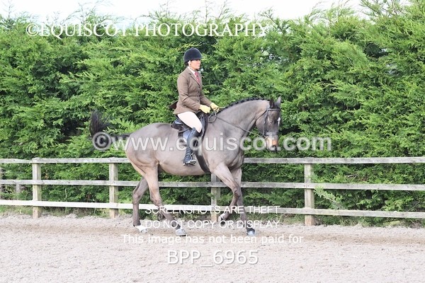 BPP_6965 - RING 1  (RIDDEN HORSES / IN HAND / VETERAN ETC)
