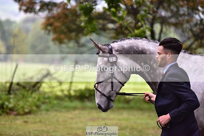 240522-162508-00902 - 202-WHIXLEY_QUALITAS-Barnie_Brotherton