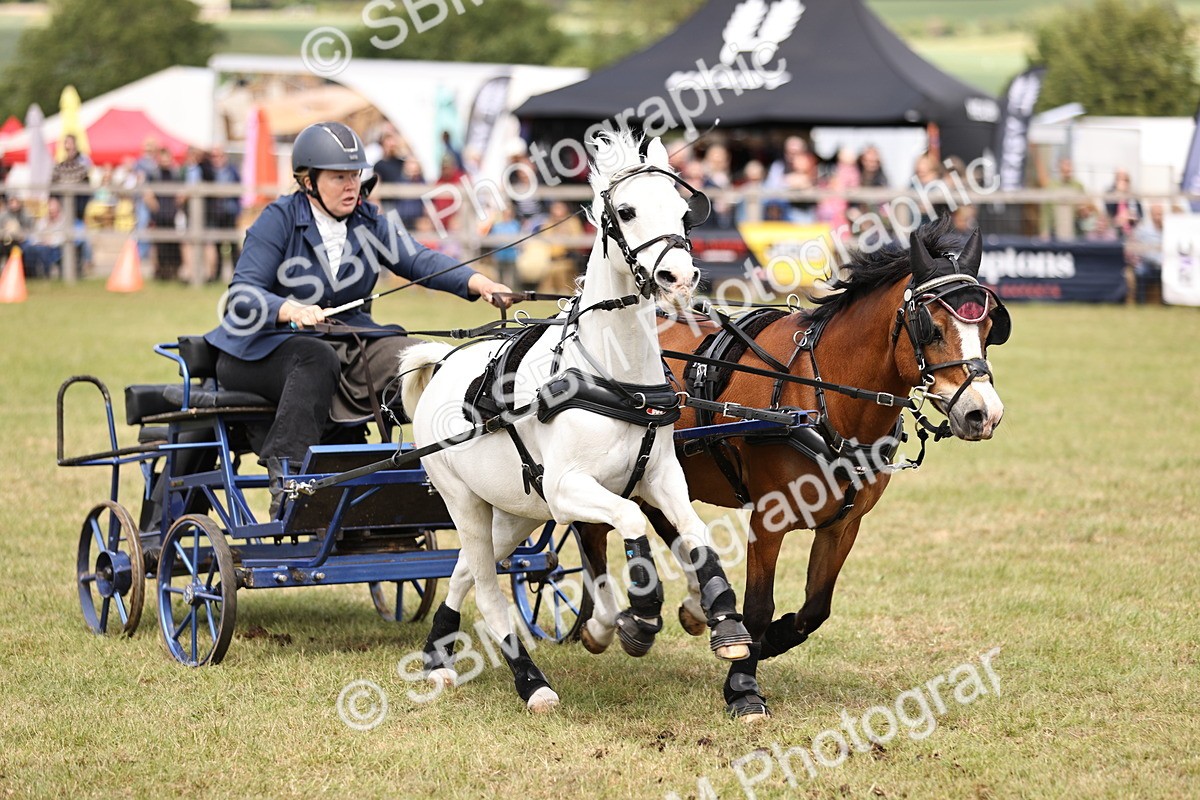 SBM_16065 - Class 91 - Scurry  exceeding 122cms