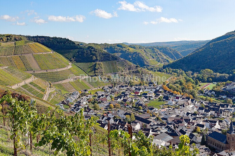  - Vineyards & Vines / Weinberge & Reben