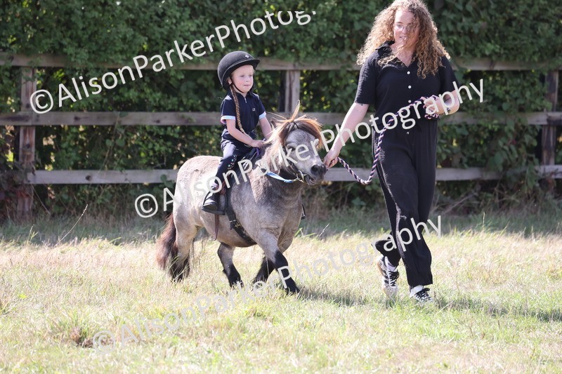20260906-2781 - Class 25 - Absolute Beginners Pony