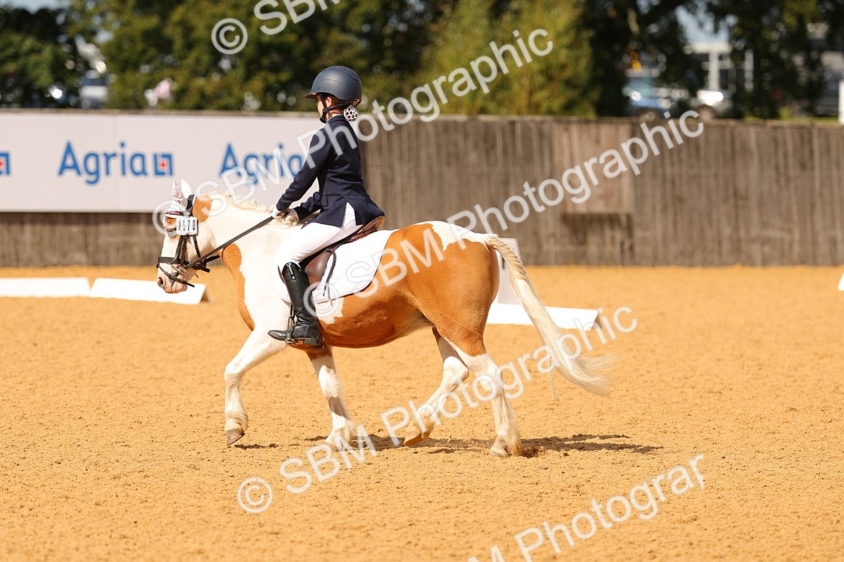 SBM_44116 - D22 - Junior Championship - Intro B