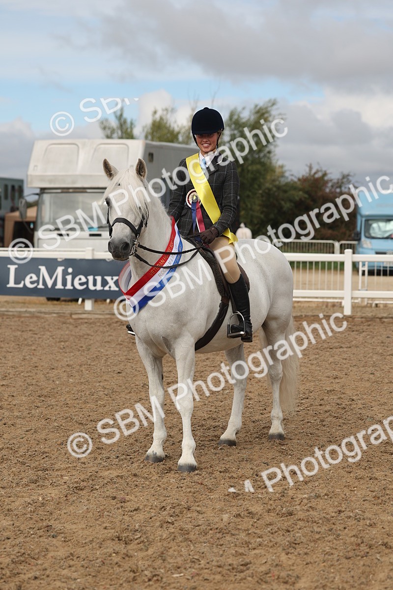 SBM_02013 - Class 14 - Ridden M&M Wildcard